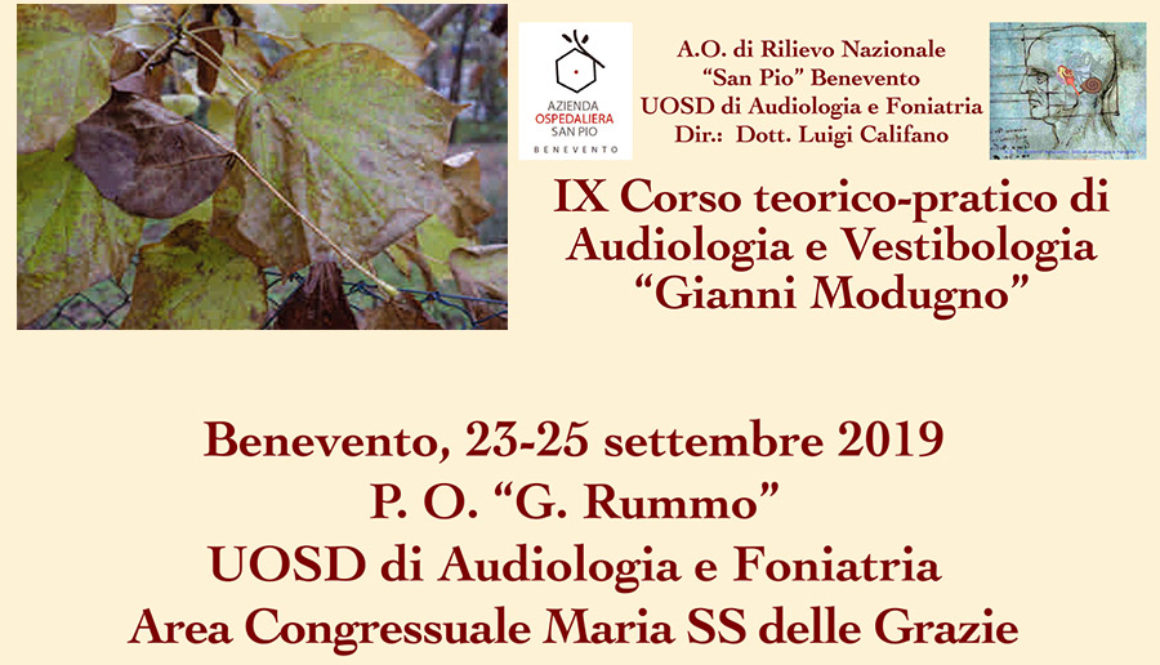 IX-Corso-audiologia-vestibologia2019 IX-Corso-audiologia-vestibologia2019